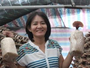 Thị trường - Tiêu dùng - Nữ nông dân trồng nấm lỗ "te tua", vẫn "bám" nấm