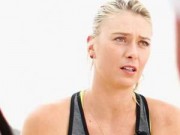 Thể thao - Sharapova – Wickmayer: Vùng lên muộn màng (V2 Indian Wells)