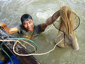 Tin tức trong ngày - Săn cá ngát ‘khủng’ trên sông Hàm Luông