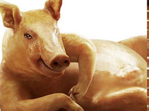 Bạn trẻ - Cuộc sống - Mày râu chăm việc nhà, đồng tình "lười thì khác gì lợn"