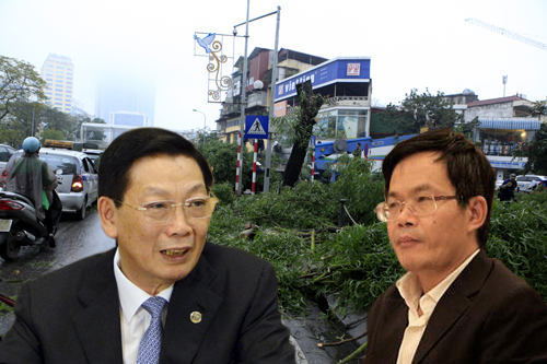 Chặt 6.700 cây xanh: Chủ tịch HN trả lời "thư ngỏ"