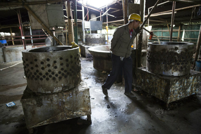 Tin tức trong ngày - Bên trong lò giết mổ chó kinh hoàng ở Trung Quốc