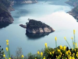 Du lịch - Kì lạ đảo rùa  chỉ "hiện hình" vào mùa xuân