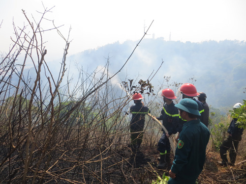 Tin tức trong ngày - Gia Lai: Cháy lớn, thiêu rụi 3ha rừng trên núi Hàm Rồng