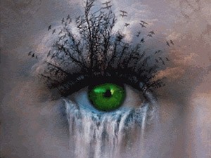 Cây ơi ta bảo cây này