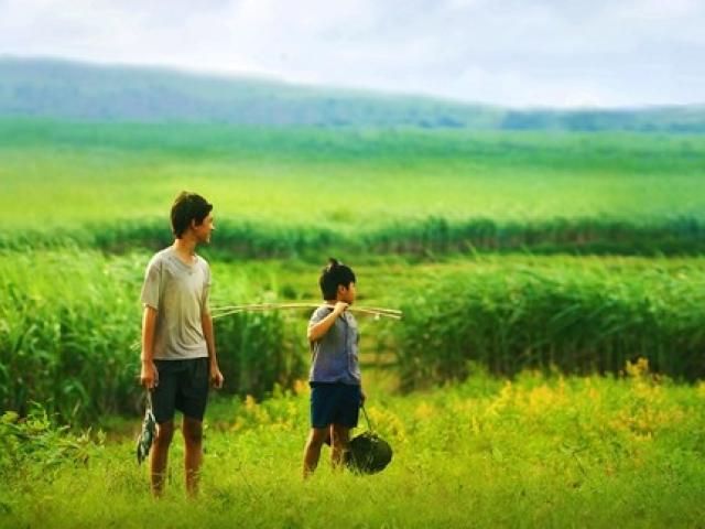 Giải trí - Năm 2015 các hãng phim tư nhân tăng 'chóng mặt'