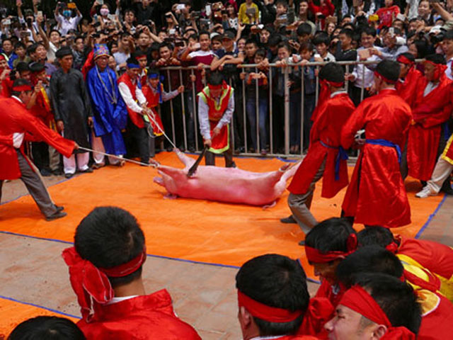 Tin tức trong ngày - Lễ hội sẽ hết bạo lực?