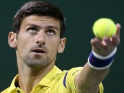 Thể thao - Djokovic - Brown: Năm mới ra oai (V1 Qatar Open)