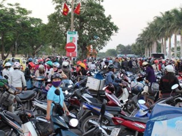 Thị trường - Tiêu dùng - Tắc đường vì tranh nhau mua cá “đặc sản” rẻ bất ngờ