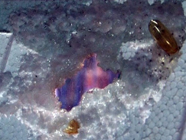 Tin tức trong ngày - Bộ Y tế vào cuộc vụ dầu cá Omega 3 TQ "ăn" thủng xốp