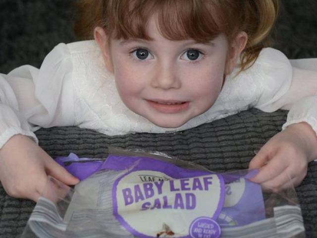 Sức khỏe đời sống - Cô bé 4 tuổi suýt mất mạng vì bị côn trùng cắn khi ăn salad