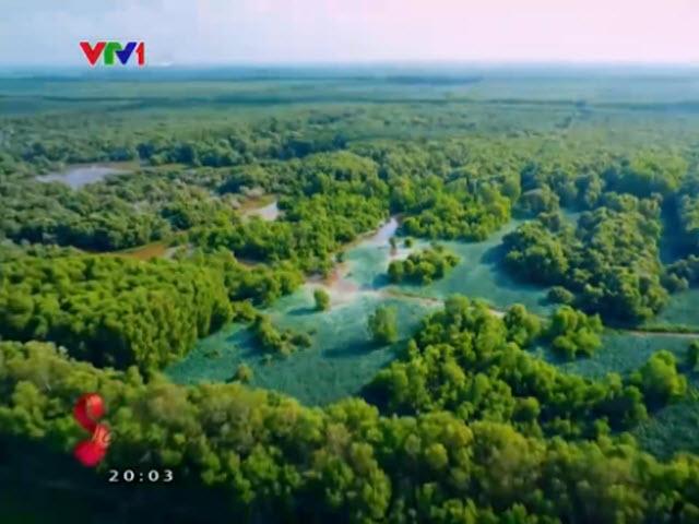 Du lịch - Rừng tràm Trà Sư, bữa tiệc màu xanh mùa nước nổi