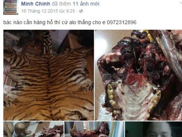 Tin tức trong ngày - Rao bán hổ, gấu, đại bàng công khai trên facebook