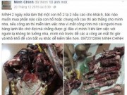 Tin tức trong ngày - Rao bán hổ, gấu trên Facebook, kiểm tra ra… xương chó