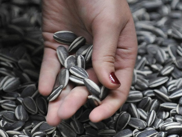 Sức khỏe đời sống - Cách loại bỏ độc tố khi bạn ăn hạt hướng dương dịp Tết