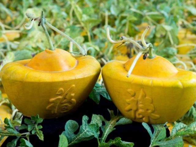 Giá cả hàng hóa - 4 loại trái cây đang "làm mưa làm gió" trên thị trường Tết