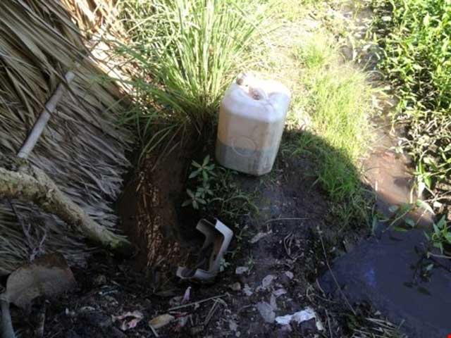 Tin tức trong ngày - Hiểu đúng về việc tưới nhớt trên rau muống