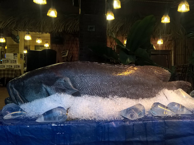 Tin tức trong ngày - Cá mú khổng lồ &quot;bơi&quot; về Sài Gòn