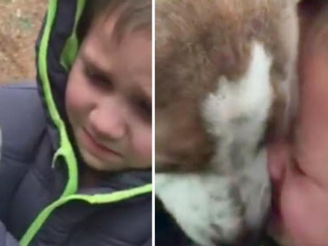 Thế giới - Video: Cậu bé nghẹn ngào khi gặp lại cún cưng thất lạc