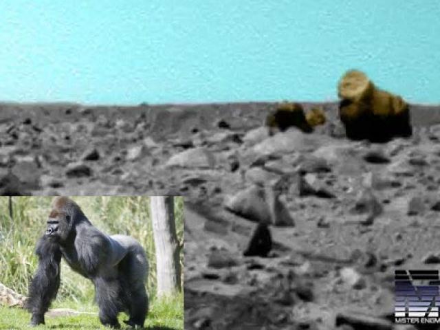 Phát hiện khỉ đột và lạc đà trên sao Hỏa