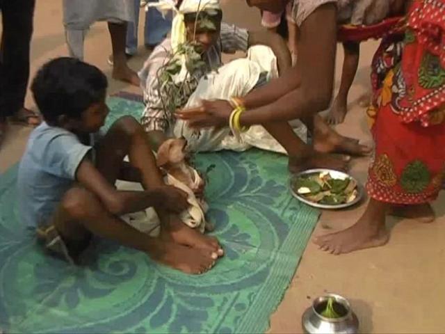 Video clip chuyện lạ - Cậu bé 7 tuổi bị ép cưới... chó để xua đuổi điềm xấu