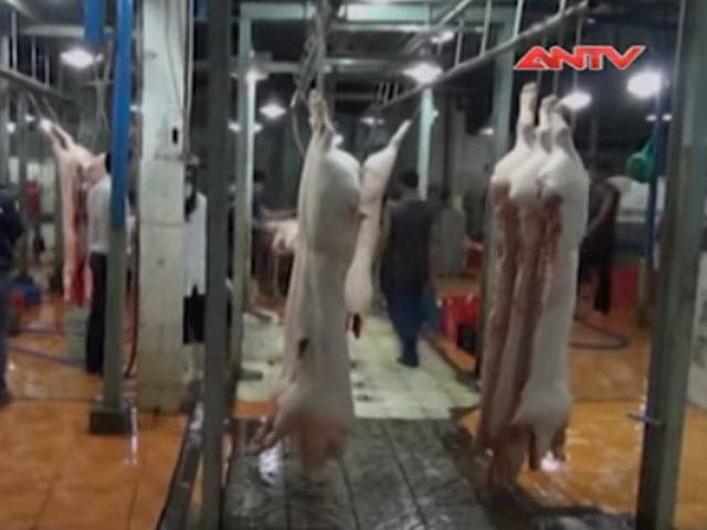 Thị trường - Tiêu dùng - Nhiều nguồn heo nhập vào TP.HCM nhiễm chất cấm