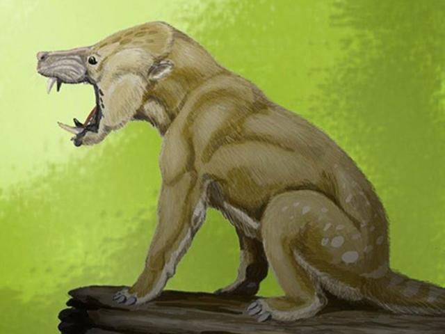 Những động vật kì quặc từng thống trị Trái Đất