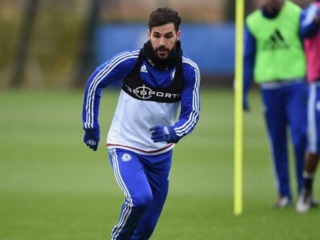 Bóng đá - Trước trận Arsenal-Chelsea, Fabregas bị rủa là rắn rết