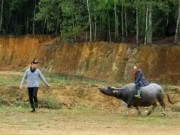 Du lịch - Ghé thăm chợ Ú, Đại Sơn