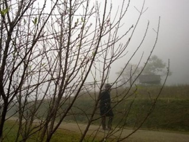 Tin tức trong ngày - Nghệ An âm 1 độ, Thanh Hóa xuất hiện băng giá