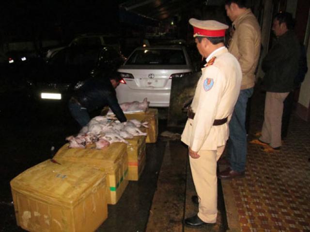 Thị trường - Tiêu dùng - Thu giữ gần 400 kg thịt chó chưa qua kiểm dịch