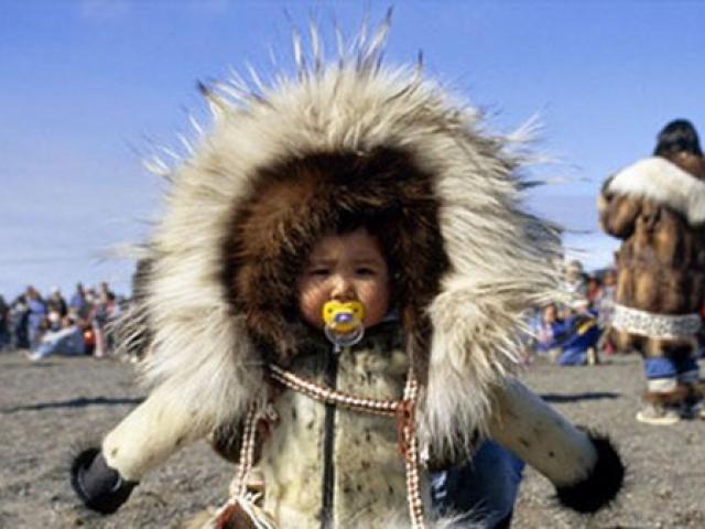 4 ”phép màu” giúp người Eskimo sống khỏe ở -50 độ C