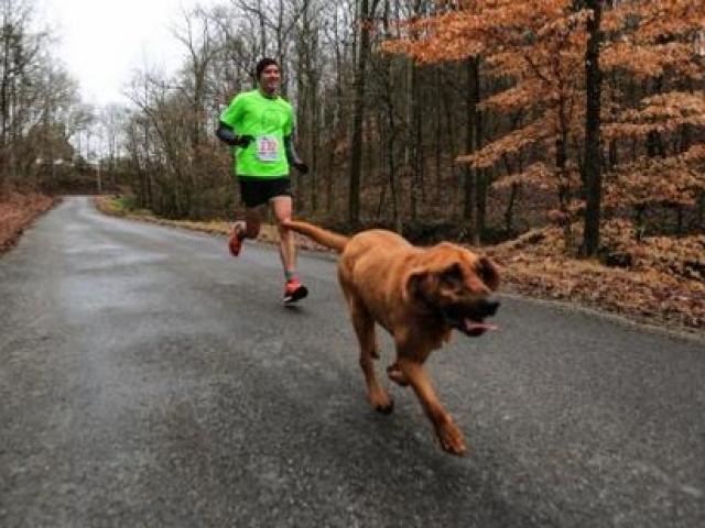 Thế giới - Mỹ: Chó vô tình chạy marathon 21km, giành vị trí thứ 7