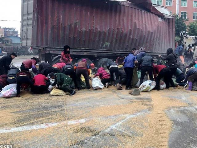 Thế giới - TQ: Hàng trăm người tranh nhau hôi lúa mì từ xe tải đổ