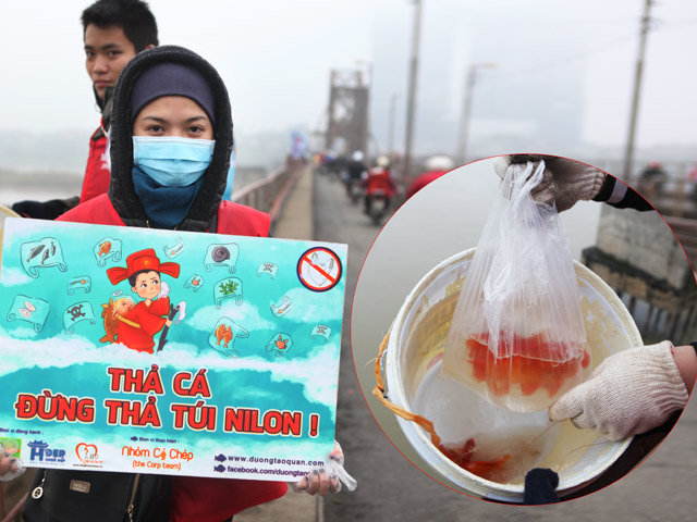 Tin tức trong ngày - Dầm mưa rét kêu gọi "thả cá đừng thả túi nilon"