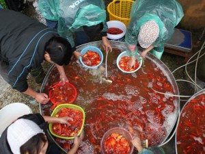 Tin tức trong ngày - Ảnh: Đỏ rực &quot;chợ ông Công ông Táo&quot; lớn nhất HN