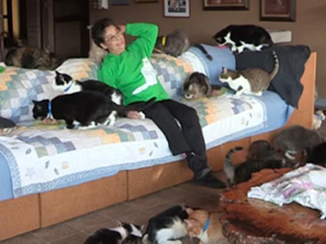 Phi thường - kỳ quặc - Người phụ nữ 'cuồng mèo', nuôi 1.100 con trong nhà