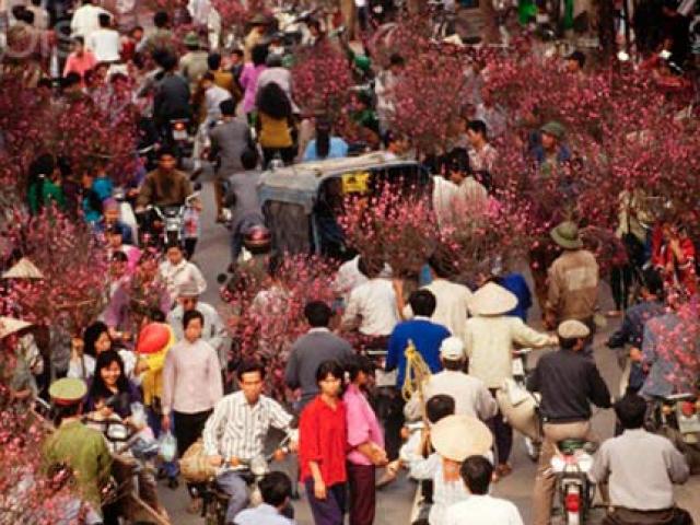 Tin tức trong ngày - Chợ hoa Hà Nội: Từ Hàng Đường đến Hàng Lược