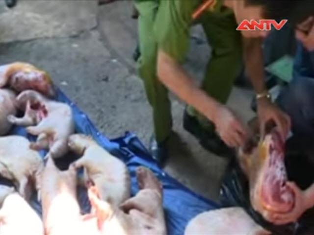 Thị trường - Tiêu dùng - Giật mình kho “đặc sản” đông lạnh hết “date” ở Đà Lạt