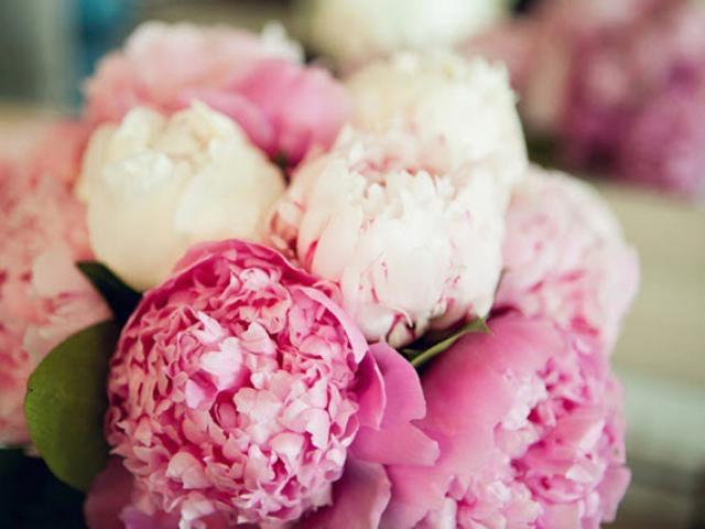 Thế giới - 7 loại cây may mắn trong quan niệm Tết của người TQ