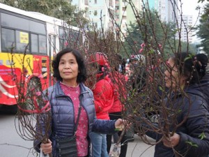 Tin tức trong ngày - Quất, đào giảm giá trong ngày Hà Nội hửng nắng