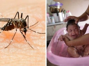 Thế giới - Virus Zika có thể kéo lùi nhân loại 2 triệu năm