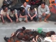 Pháp luật - Bắt quả tang 18 con bạc “trốn Tết” say sưa sát phạt