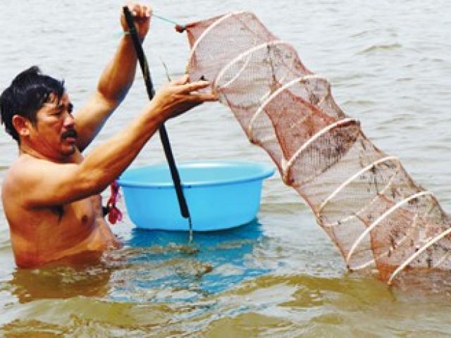 Thị trường - Tiêu dùng - Vua đầm