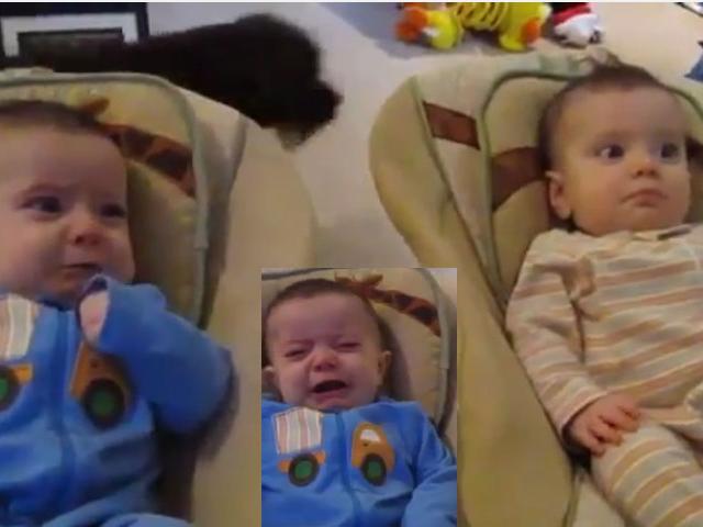 Bạn trẻ - Cuộc sống - Phản ứng hài hước của bé sinh đôi khi nghe bố hát ru