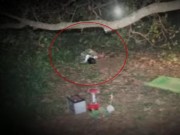 Cái chết bí ẩn của người phụ nữ bên gốc điều (P.1)