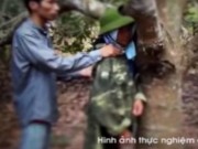 Cái chết bí ẩn của người phụ nữ bên gốc điều (P.Cuối)