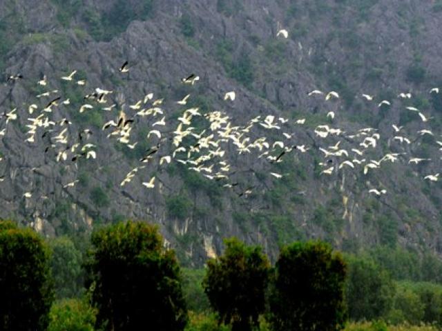 Phim - "Sẽ bí mật mọi cảnh quay phim King Kong tại Việt Nam"