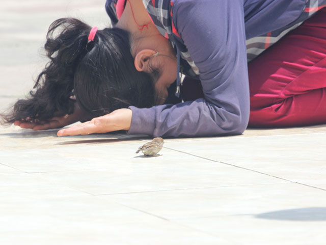 Tin tức trong ngày - Sư trụ trì Việt Nam Quốc Tự kiến giải việc phóng sinh