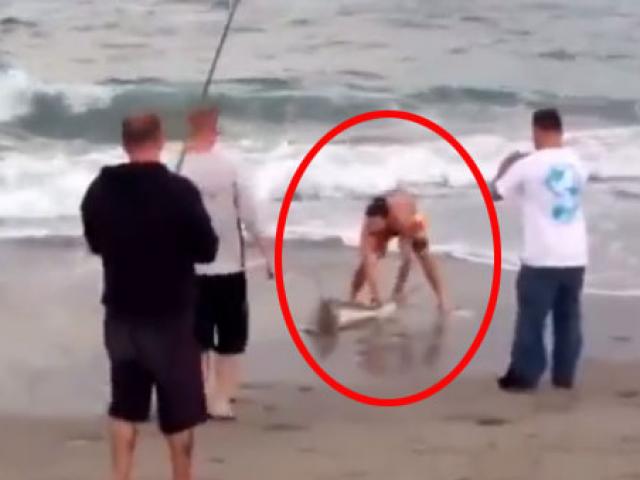 Bạn trẻ - Cuộc sống - Người đàn ông gây phẫn nộ vì lôi cá mập lên bờ "tự sướng"